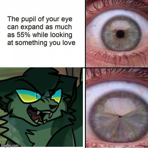 Eye Pupil (Shrinking) Template | image tagged in eye pupil shrinking template | made w/ Imgflip meme maker