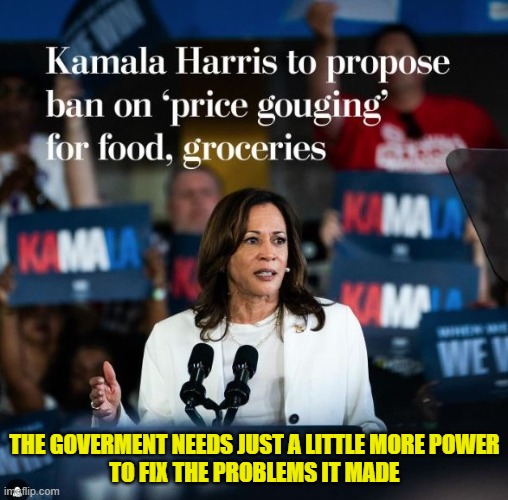 More Leftist Logic | THE GOVERMENT NEEDS JUST A LITTLE MORE POWER
TO FIX THE PROBLEMS IT MADE | image tagged in kamala harris | made w/ Imgflip meme maker