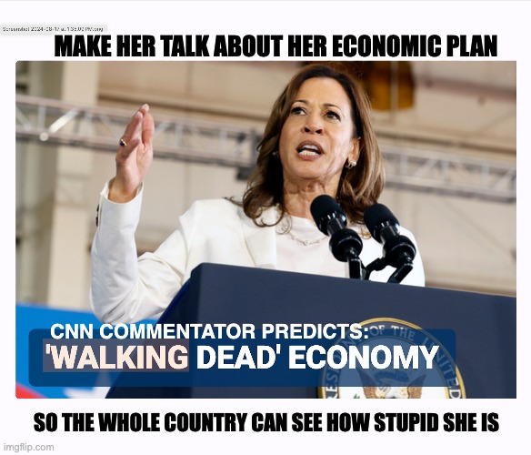 The Only Plan Is To Lie To The Ignorant Masses | MAKE HER TALK ABOUT HER ECONOMIC PLAN; CNN COMMENTATOR PREDICTS:; SO THE WHOLE COUNTRY CAN SEE HOW STUPID SHE IS | image tagged in kamala,it's the economy stupid,built back nothing,cnn against kamala | made w/ Imgflip meme maker