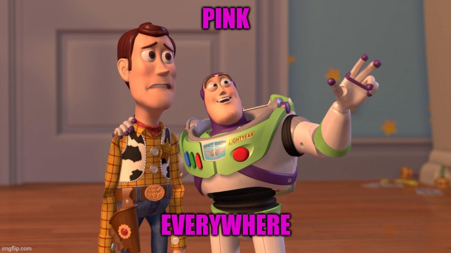 Woody and Buzz Lightyear Everywhere Widescreen | PINK; EVERYWHERE | image tagged in woody and buzz lightyear everywhere widescreen | made w/ Imgflip meme maker