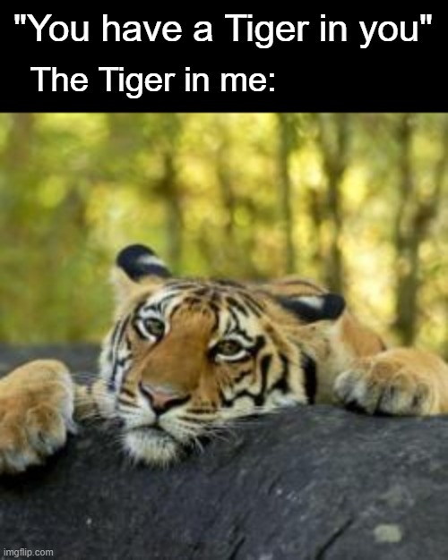 Let's be Dank about it | "You have a Tiger in you"; The Tiger in me: | image tagged in confession tiger,dank | made w/ Imgflip meme maker