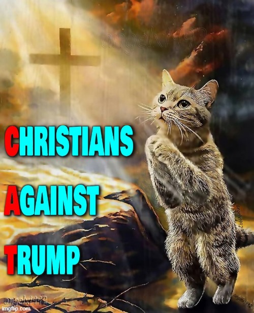 image tagged in cat,caturday,pets,christians,animal praying,praying | made w/ Imgflip meme maker