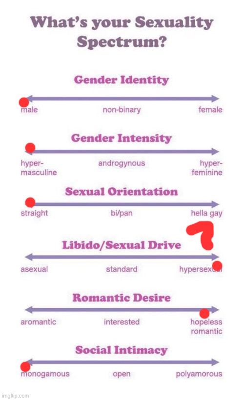 What's your sexuality spectrum? | image tagged in what's your sexuality spectrum | made w/ Imgflip meme maker