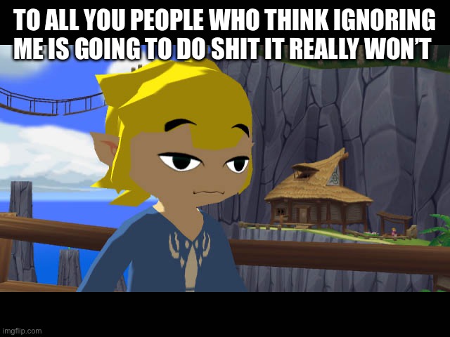 High Toon Link | TO ALL YOU PEOPLE WHO THINK IGNORING ME IS GOING TO DO SHIT IT REALLY WON’T | image tagged in high toon link | made w/ Imgflip meme maker