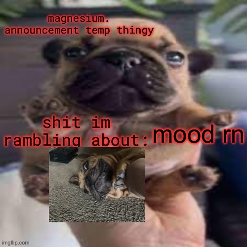 pug temp | mood rn | image tagged in pug temp | made w/ Imgflip meme maker