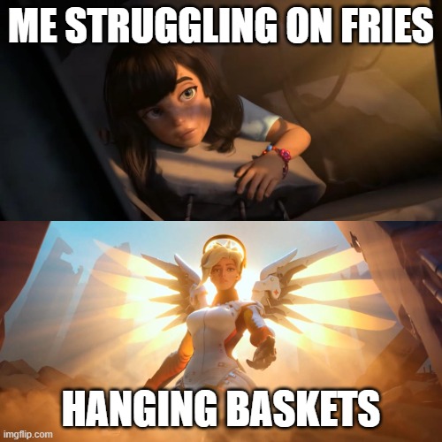 Overwatch Mercy Meme | ME STRUGGLING ON FRIES; HANGING BASKETS | image tagged in overwatch mercy meme | made w/ Imgflip meme maker