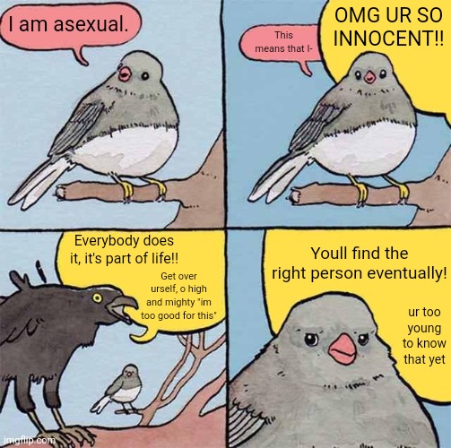 Annoying Crow | OMG UR SO INNOCENT!! I am asexual. This means that I-; Youll find the right person eventually! Everybody does it, it's part of life!! Get over urself, o high and mighty "im too good for this"; ur too young to know that yet | image tagged in annoying crow,asexual,annoying people,ace,lgbtq | made w/ Imgflip meme maker