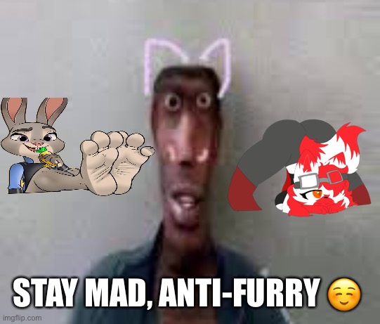 STAY MAD, ANTI-FURRY ☺️ | made w/ Imgflip meme maker