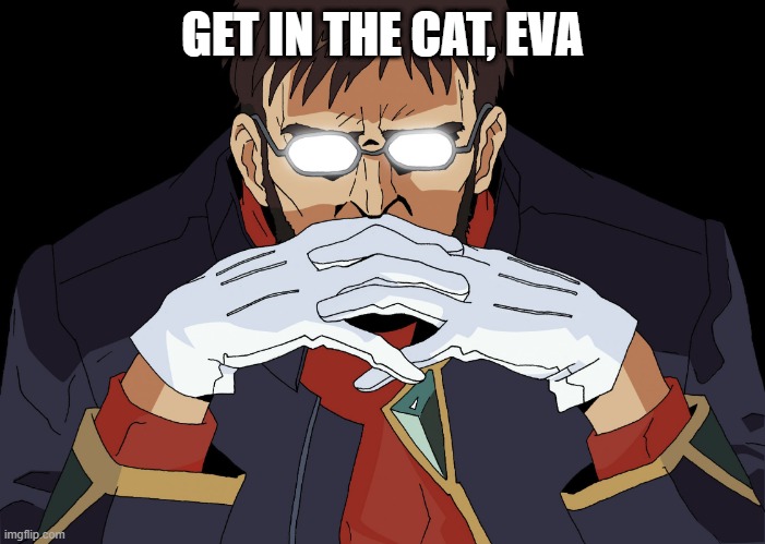 Get In The Robot Shinji | GET IN THE CAT, EVA | image tagged in get in the robot shinji | made w/ Imgflip meme maker