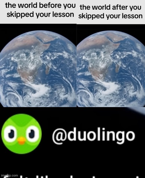 Bruh | image tagged in duolingo | made w/ Imgflip meme maker