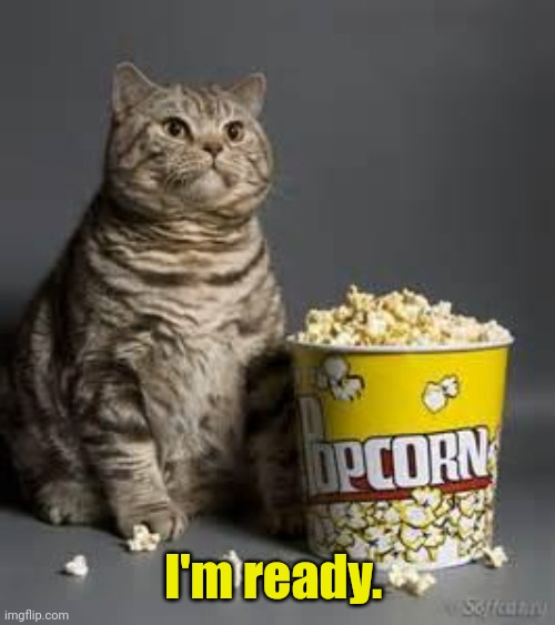 popcorn heavy breathing | I'm ready. | image tagged in popcorn heavy breathing | made w/ Imgflip meme maker