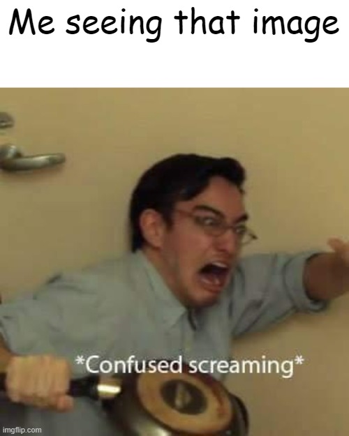 filthy frank confused scream | Me seeing that image | image tagged in filthy frank confused scream | made w/ Imgflip meme maker