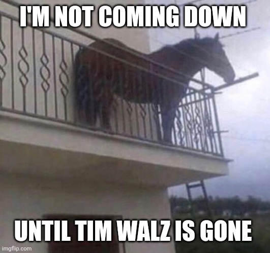 Juan | I'M NOT COMING DOWN; UNTIL TIM WALZ IS GONE | image tagged in juan | made w/ Imgflip meme maker