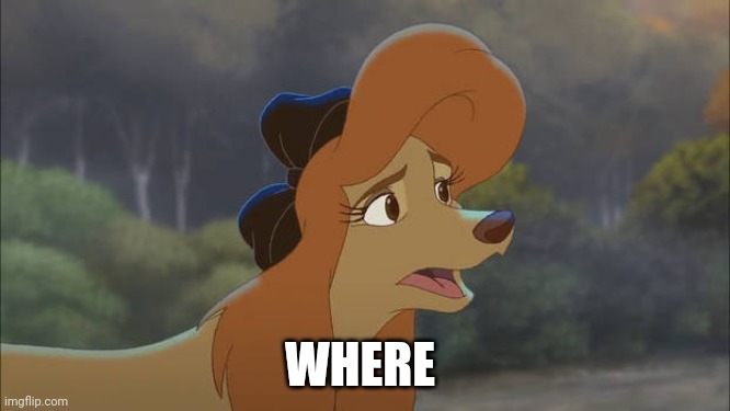 Where | WHERE | image tagged in dixie is like who are you,the fox and the hound 2 | made w/ Imgflip meme maker