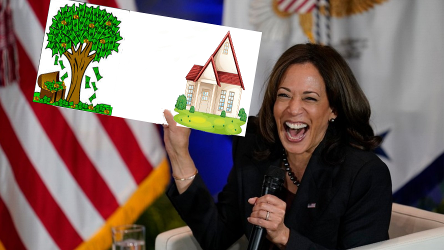 High Quality Kamala holds sign with plan for new homeowners Blank Meme Template