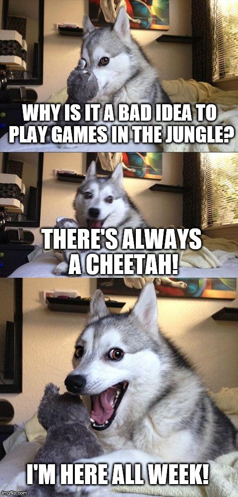 Bad Pun Dog Meme | WHY IS IT A BAD IDEA TO PLAY GAMES IN THE JUNGLE? THERE'S ALWAYS A CHEETAH! I'M HERE ALL WEEK! | image tagged in memes,bad pun dog | made w/ Imgflip meme maker