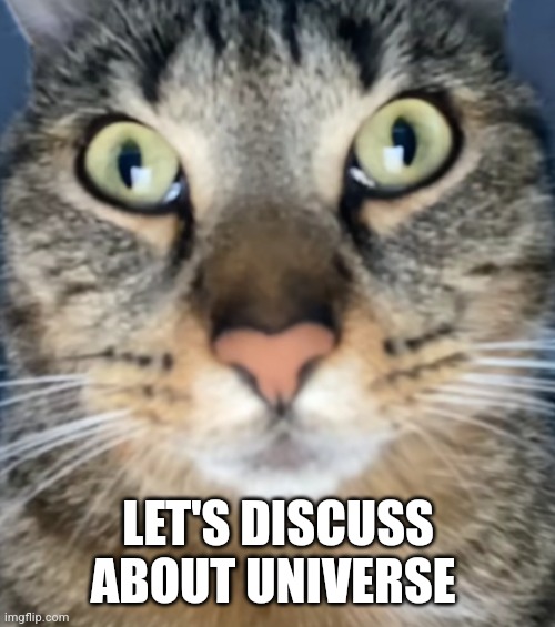 Let's discuss | LET'S DISCUSS ABOUT UNIVERSE | image tagged in funny,memes,cats,cat,universe,space | made w/ Imgflip meme maker