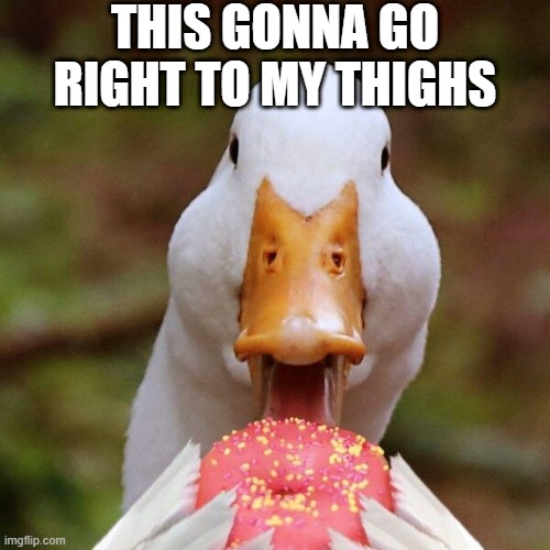 Duck Donut | THIS GONNA GO RIGHT TO MY THIGHS | image tagged in ducks | made w/ Imgflip meme maker