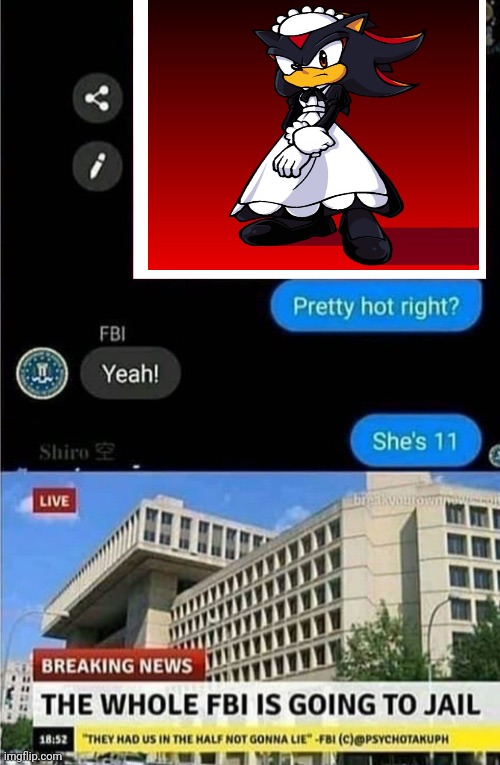 The whole FBI is going to jail | image tagged in the whole fbi is going to jail | made w/ Imgflip meme maker