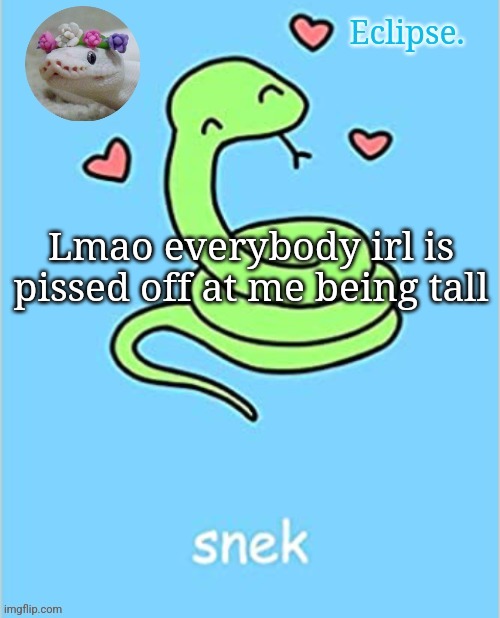 . | Lmao everybody irl is pissed off at me being tall | image tagged in h | made w/ Imgflip meme maker