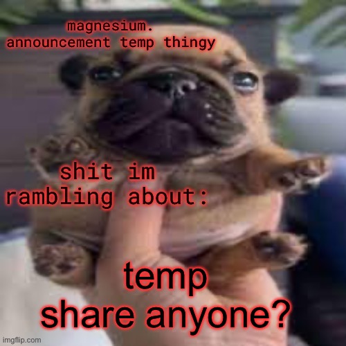 pug temp | temp share anyone? | image tagged in pug temp | made w/ Imgflip meme maker