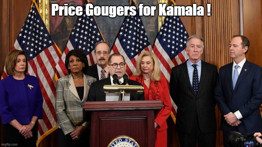 House Democrats are the worst price gougers in history | Price Gougers for Kamala ! | image tagged in house democrats,price gougers | made w/ Imgflip meme maker