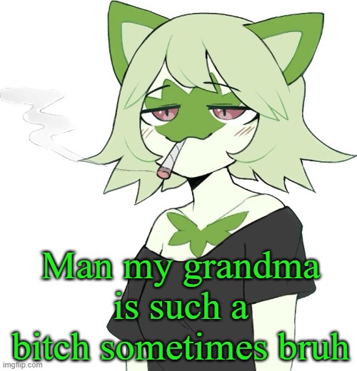 weed cat | Man my grandma is such a bitch sometimes bruh | image tagged in weed cat | made w/ Imgflip meme maker