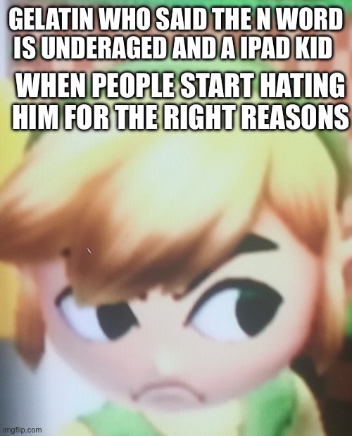 Toon link mad | GELATIN WHO SAID THE N WORD IS UNDERAGED AND A IPAD KID; WHEN PEOPLE START HATING HIM FOR THE RIGHT REASONS | image tagged in toon link mad | made w/ Imgflip meme maker