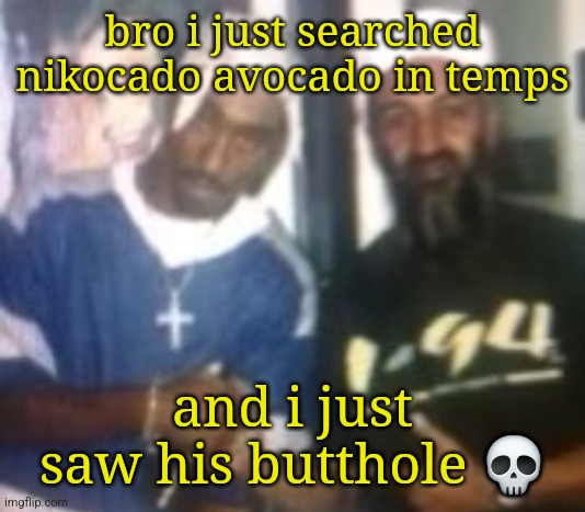 gang | bro i just searched nikocado avocado in temps; and i just saw his butthole 💀 | image tagged in gang | made w/ Imgflip meme maker