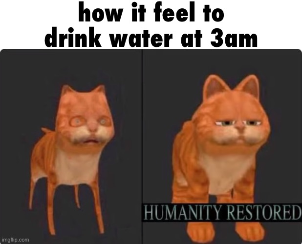 humanity restored | how it feel to drink water at 3am | image tagged in humanity restored | made w/ Imgflip meme maker