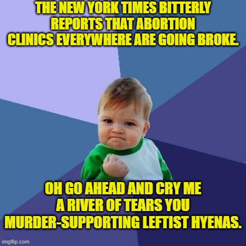 My heart bleeds for those abortionists . . . NOT! | THE NEW YORK TIMES BITTERLY REPORTS THAT ABORTION CLINICS EVERYWHERE ARE GOING BROKE. OH GO AHEAD AND CRY ME A RIVER OF TEARS YOU MURDER-SUPPORTING LEFTIST HYENAS. | image tagged in success kid | made w/ Imgflip meme maker