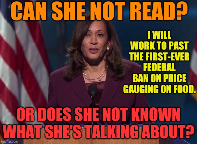 Or Does She Not Know What She's Talking About? | CAN SHE NOT READ? I WILL WORK TO PAST THE FIRST-EVER FEDERAL BAN ON PRICE GAUGING ON FOOD. OR DOES SHE NOT KNOWN WHAT SHE'S TALKING ABOUT? | image tagged in kamala harris,can't even,read,what are you talking about,memes,politics | made w/ Imgflip meme maker