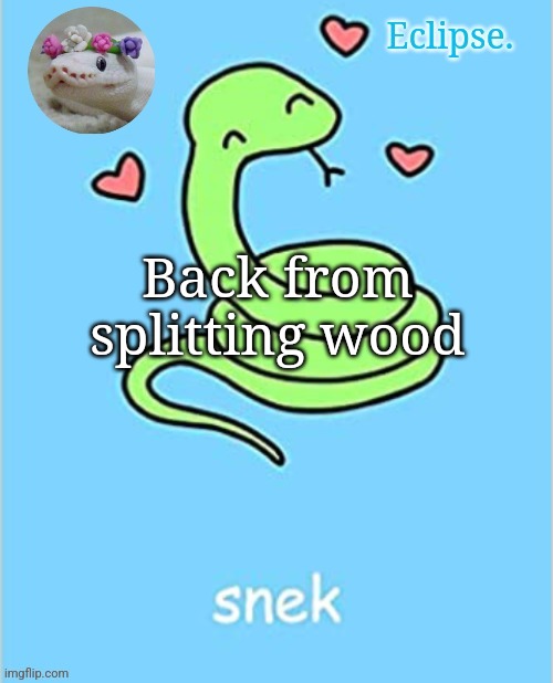 . | Back from splitting wood | image tagged in h | made w/ Imgflip meme maker