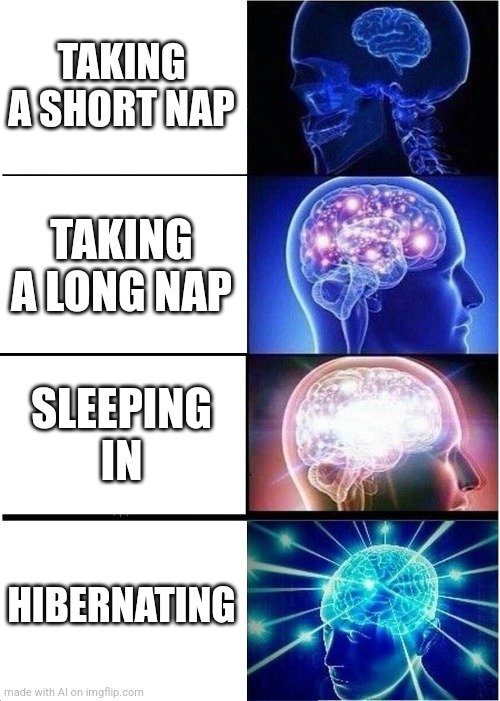 Expanding Brain | TAKING A SHORT NAP; TAKING A LONG NAP; SLEEPING IN; HIBERNATING | image tagged in memes,expanding brain | made w/ Imgflip meme maker