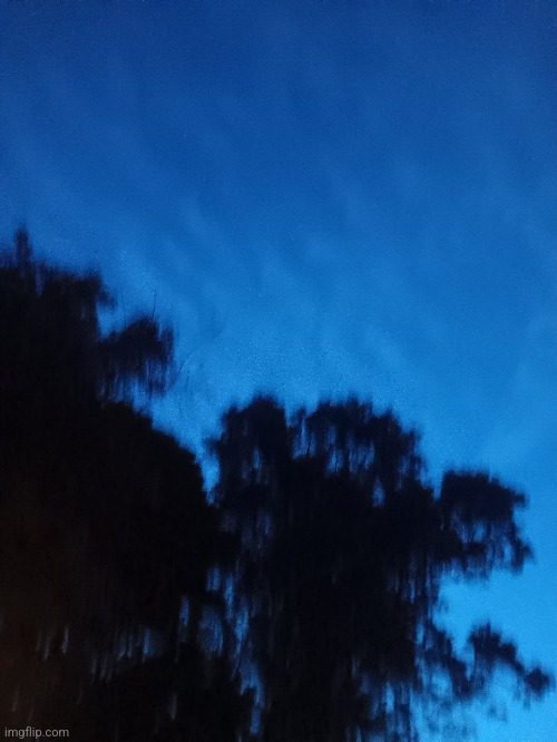 on a hammock so it's blurry but the sky is pretty rn | made w/ Imgflip meme maker