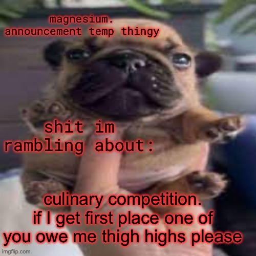 it’s a state thing and it’s in march. long time but lot of practicing | culinary competition. if I get first place one of you owe me thigh highs please | image tagged in pug temp | made w/ Imgflip meme maker