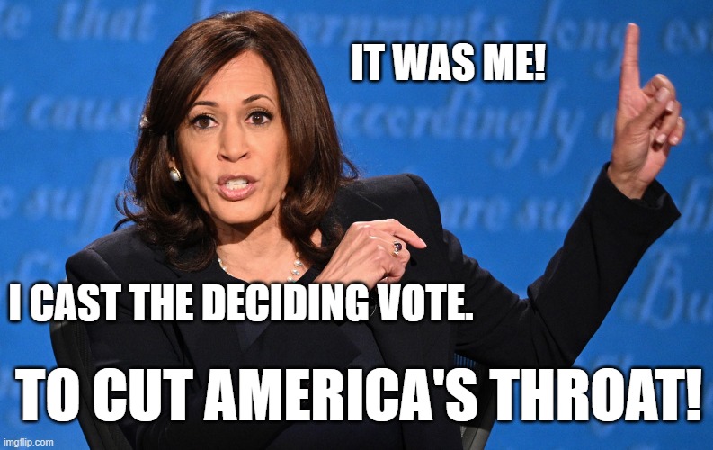 Deciding vote | IT WAS ME! I CAST THE DECIDING VOTE. TO CUT AMERICA'S THROAT! | image tagged in kamala,vote,inflation | made w/ Imgflip meme maker