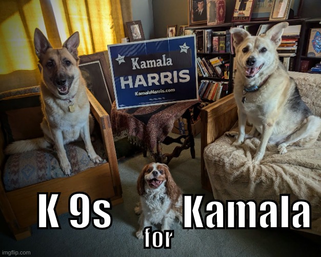 K9s for Kamala | Kamala; K 9s; for | image tagged in dogs for harris,kamala harris campaign | made w/ Imgflip meme maker