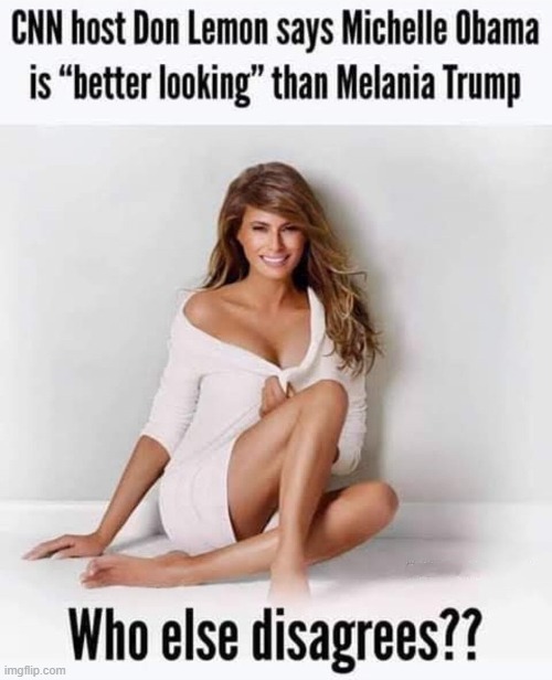 Don Lemon must be GAY. Michelle Obama is a tranny. | image tagged in don lemon,why are you gay,michelle obama,transgender,tranny,tired of hearing about transgenders | made w/ Imgflip meme maker
