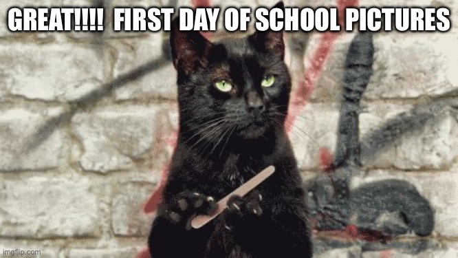 cat filing nails | GREAT!!!!  FIRST DAY OF SCHOOL PICTURES | image tagged in cat filing nails | made w/ Imgflip meme maker