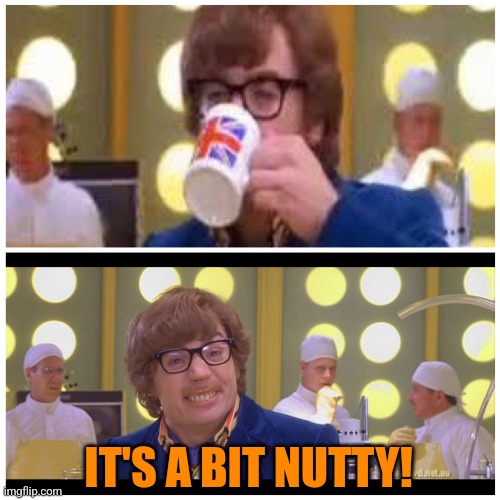 It’s a bit nutty! | IT'S A BIT NUTTY! | image tagged in it s a bit nutty | made w/ Imgflip meme maker