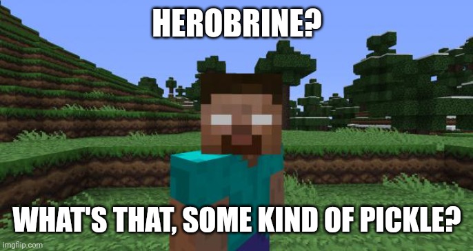 Herobrine | HEROBRINE? WHAT'S THAT, SOME KIND OF PICKLE? | image tagged in herobrine | made w/ Imgflip meme maker