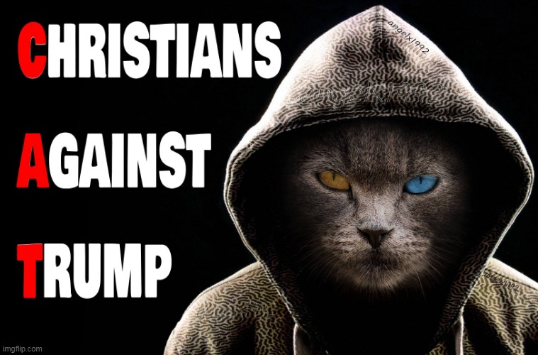 image tagged in cats,hoodies,maga cult,christians,clown car republicans,donald trump is an idiot | made w/ Imgflip meme maker