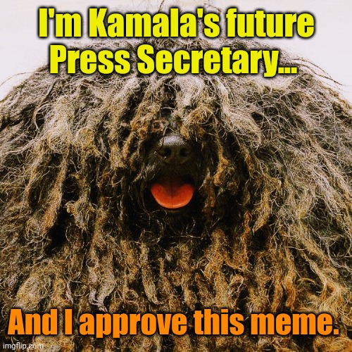 Kanine Jean Pierre | I'm Kamala's future Press Secretary... And I approve this meme. | image tagged in kanine jean pierre | made w/ Imgflip meme maker