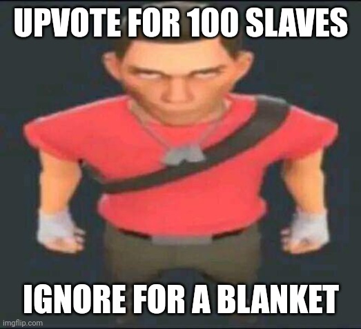 I changed it up a bit | UPVOTE FOR 100 SLAVES; IGNORE FOR A BLANKET | image tagged in bro,memes,yes,upvote begging | made w/ Imgflip meme maker