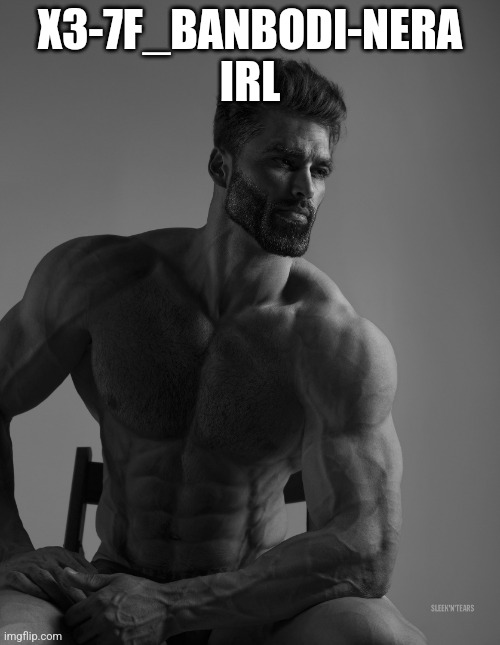 Giga Chad | X3-7F_BANBODI-NERA IRL | image tagged in giga chad | made w/ Imgflip meme maker