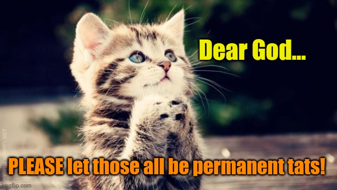 Praying cat | Dear God... PLEASE let those all be permanent tats! | image tagged in praying cat | made w/ Imgflip meme maker