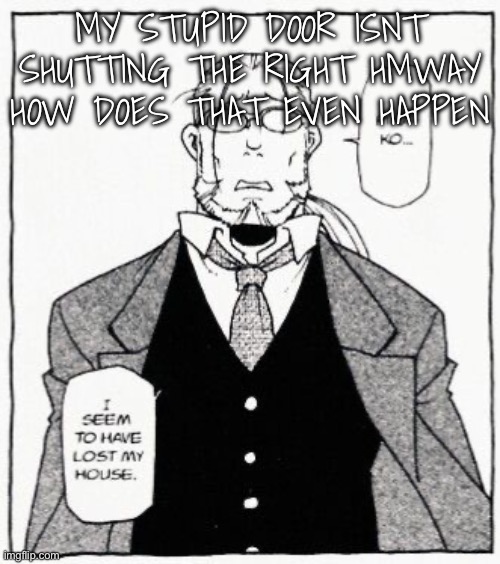 hoenheim | MY STUPID DOOR ISNT SHUTTING THE RIGHT HMWAY HOW DOES THAT EVEN HAPPEN | image tagged in hoenheim | made w/ Imgflip meme maker