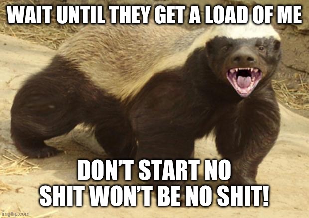 Honey badger | WAIT UNTIL THEY GET A LOAD OF ME; DON’T START NO SHIT WON’T BE NO SHIT! | image tagged in honey badger | made w/ Imgflip meme maker