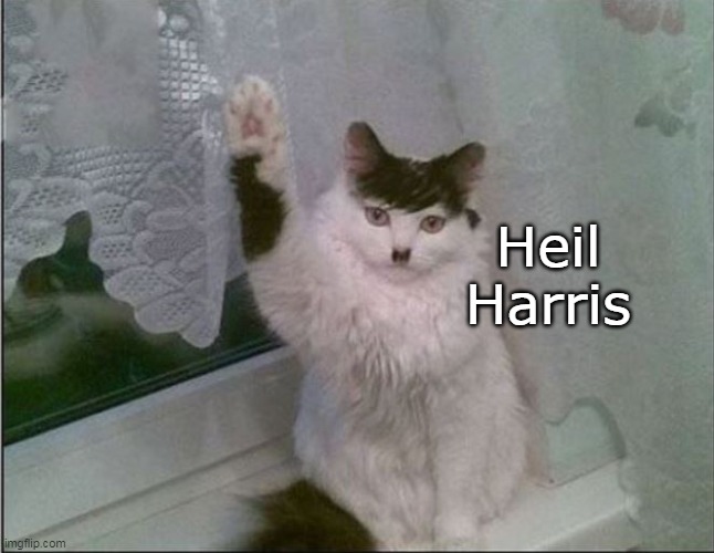 Heil Harris | made w/ Imgflip meme maker